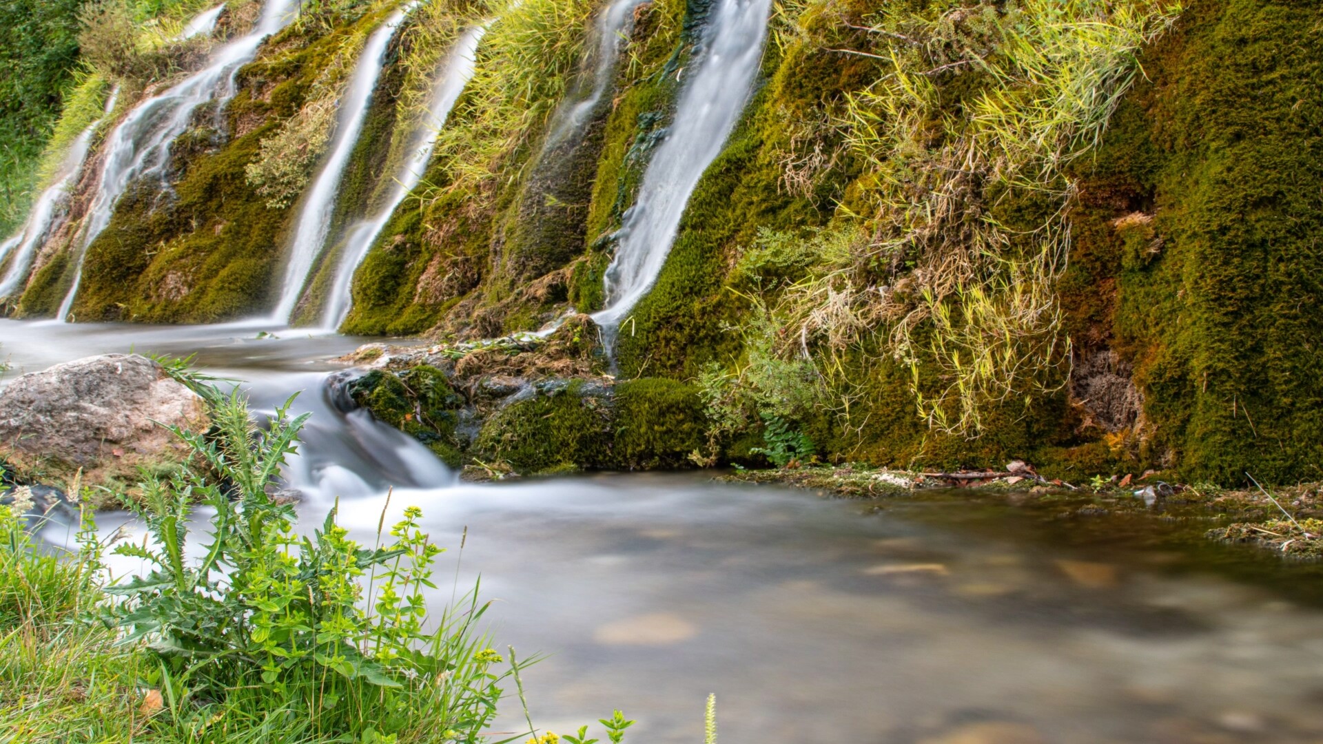 哑铃运动 4 个月记录 哑铃运动 4 个月记录