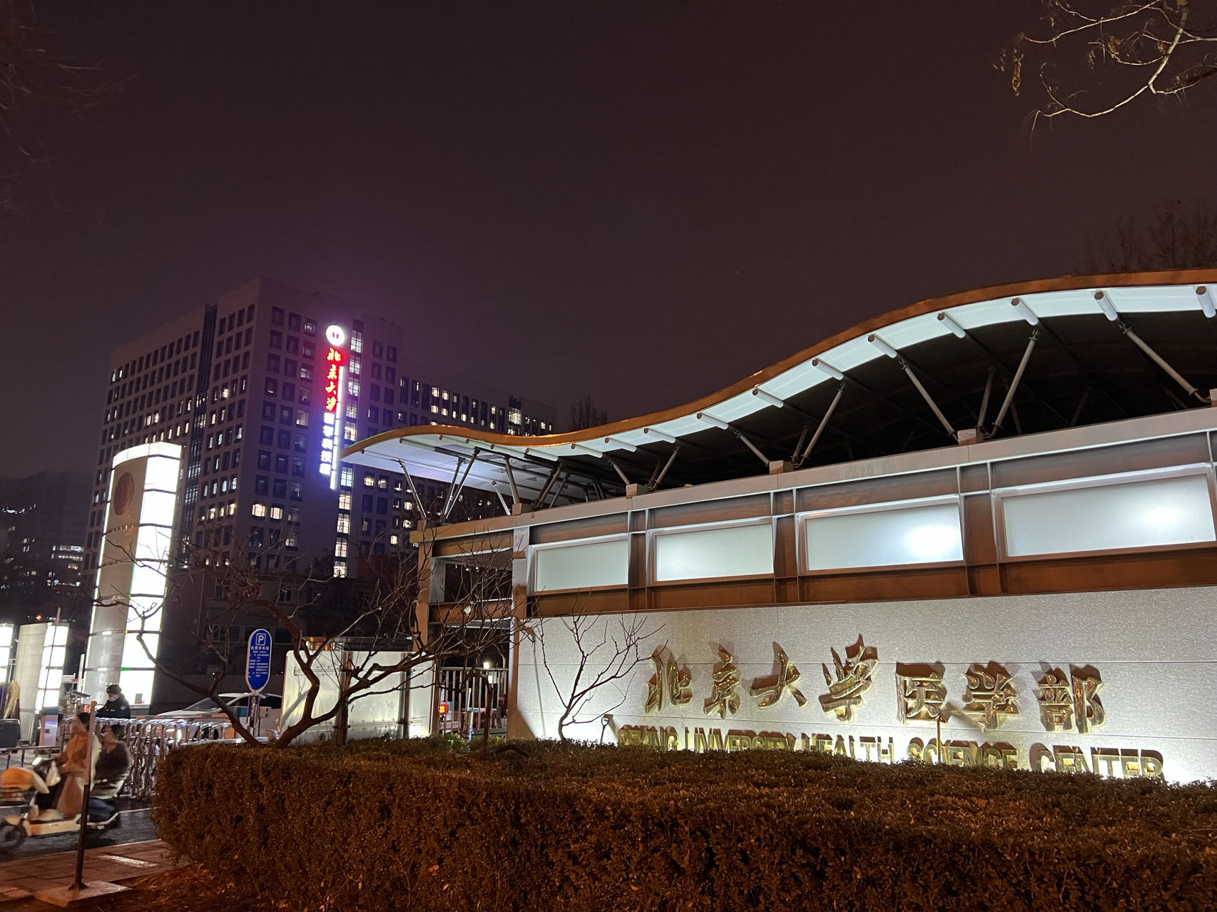 哑铃运动 6 个月记录 哑铃运动 6 个月记录