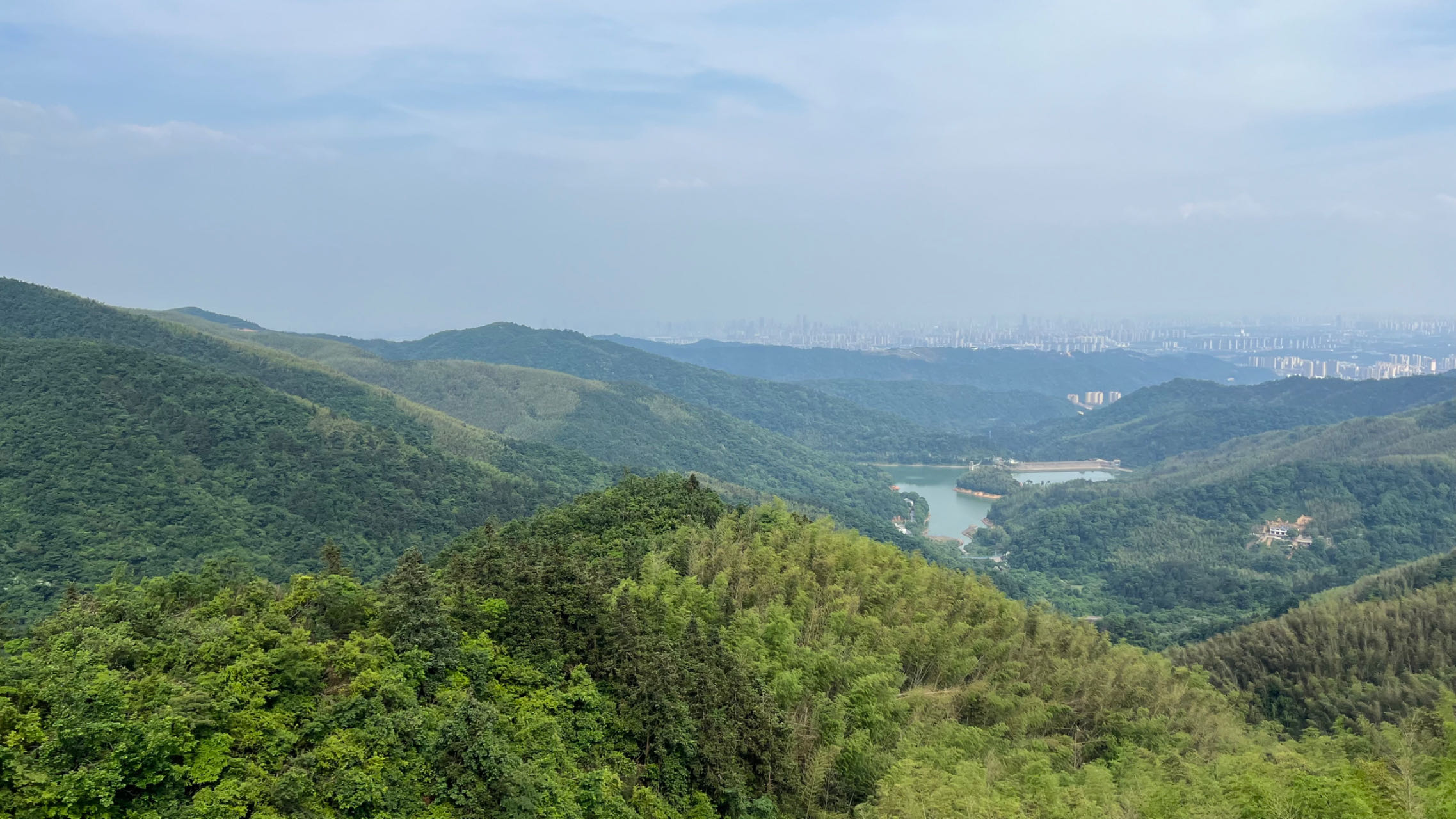 你好,红丝带 你好,红丝带
