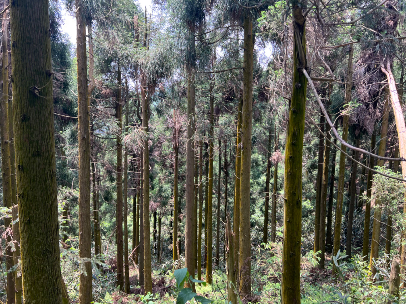 你好,红丝带 你好,红丝带